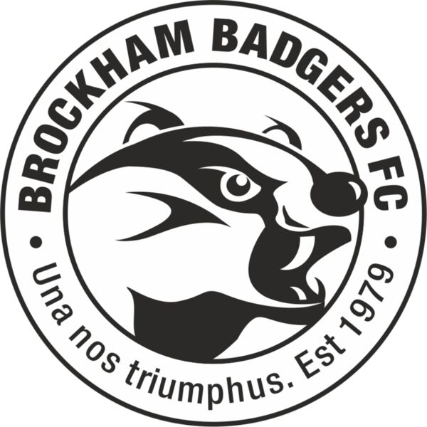 Brockham Badgers FC Thumbnail