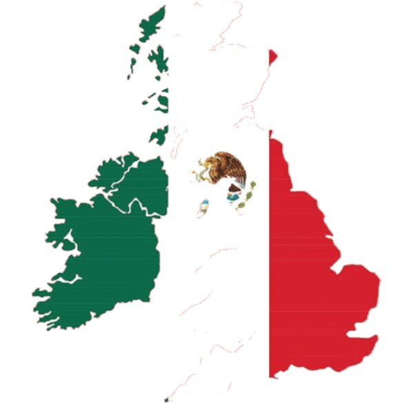 MG 2020 rear print Thumbnail