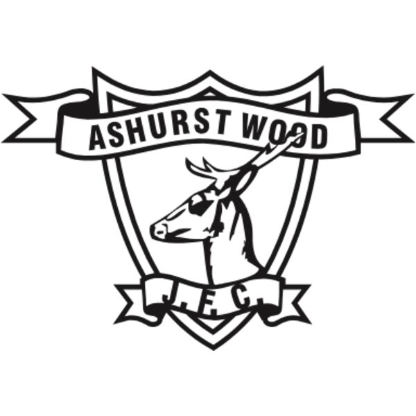 Ashurst Wood JFC Thumbnail