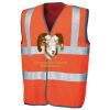 Safeguard high-viz vest (EN471 class 2) Thumbnail
